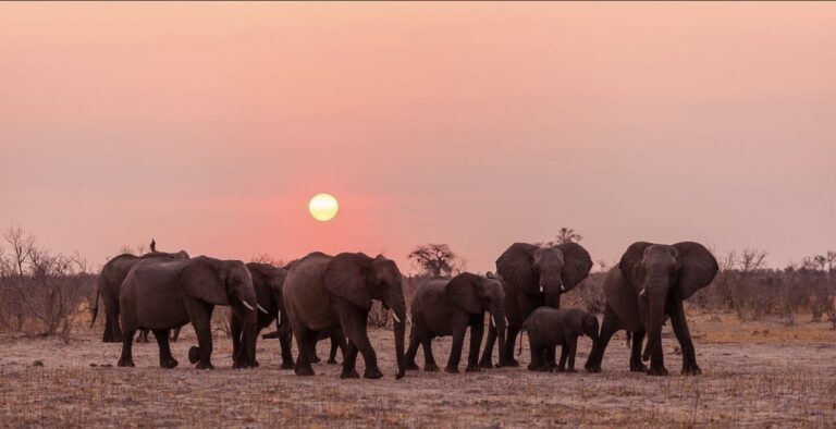 Benoue National Park