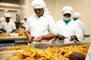 Agro Processing in Cameroon